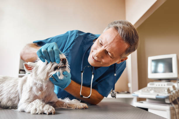 Best Emergency Tooth Extraction in Newaygo, MI